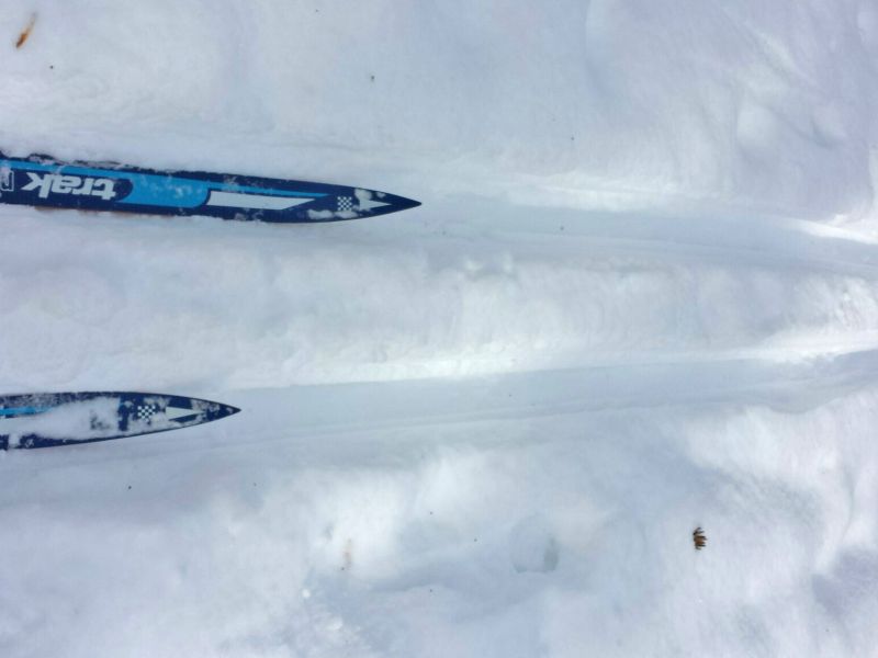 Learn to Cross-Country Ski