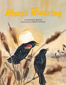 marsh morning