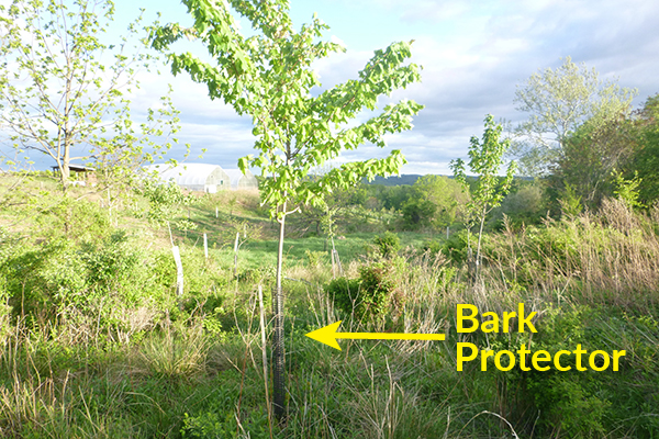 bark protector