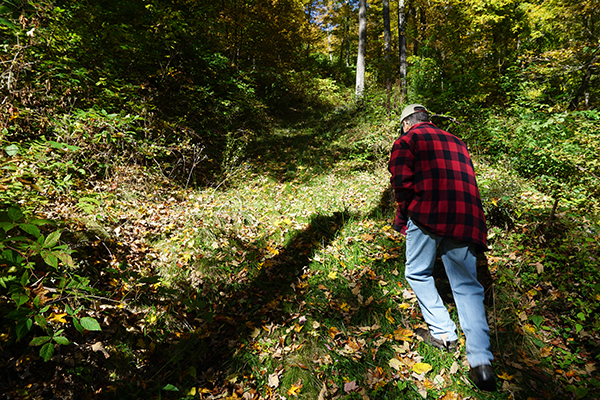Grass seed spread over skid trails will help stabilize them and keep them from eroding, even on steep slopes like this one.