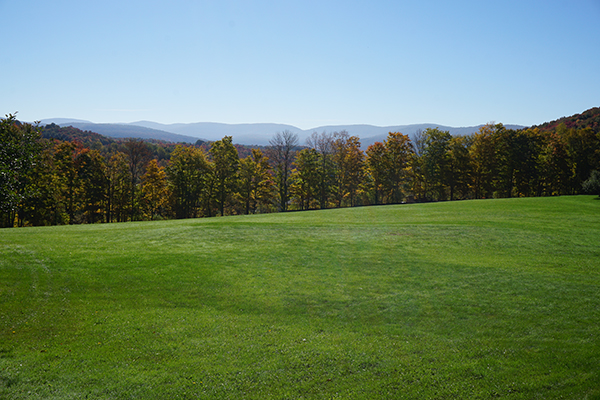Frank mows his fields once a year around Labor Day to encourage young nutritious grass for fall and winter white-tailed deer food.