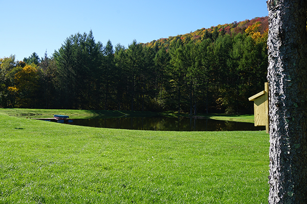 Frank’s pond is an enjoyable spot to relax and fish for bass, which he stocks.