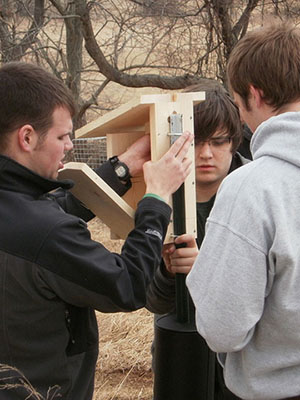 install a bluebird box