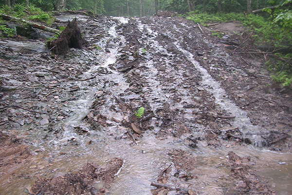 Heavy erosion washes away this trail in a forest in the Catskill Mountains of upstate New York.