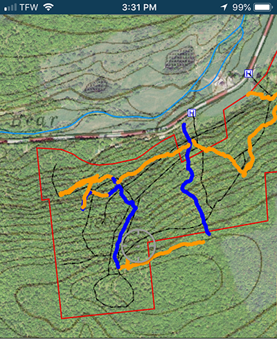 Mapped trails. Screen shot of an Avenza map on a smartphone showing a topographic map, parcel boundary, and logging roads, some of which have been mapped by turning on the GPS tracking feature and walking the trails.