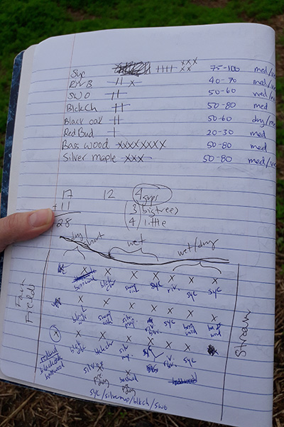 Tree planting plan. A tree planting plan scrawled into a notebook. The top of the page shows 8 different riparian tree species with their associated heights at maturity and moisture tolerance. The bottom of the page shows the planting area in between farm fields and the stream. Individual tree locations and associated species are indicated in the sketch.
