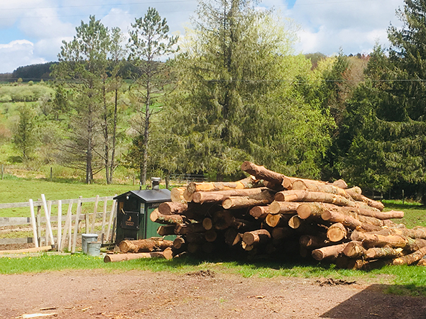 The load of logs ready to be cut, split and stacked for the heating season.