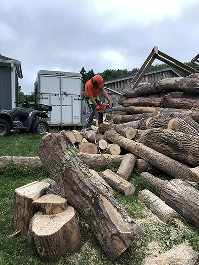 The author using a chainsaw to cut the firewood into rounds.