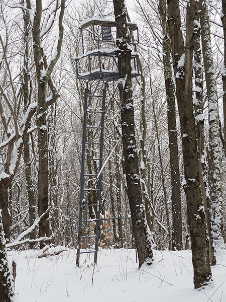 A ladder stand used for hunting is pictured in a snowy scene. This is an example of the many tree stands that are erected on NYC DEP land and just left there indefinitely.