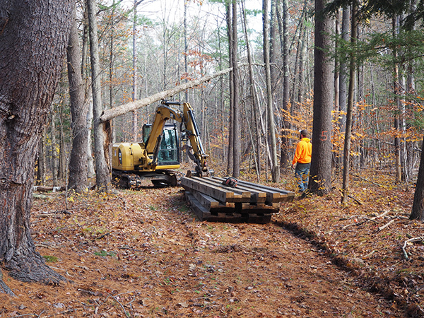 3 preparing abutments