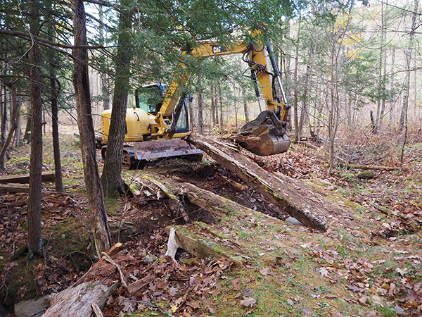 3 preparing abutments