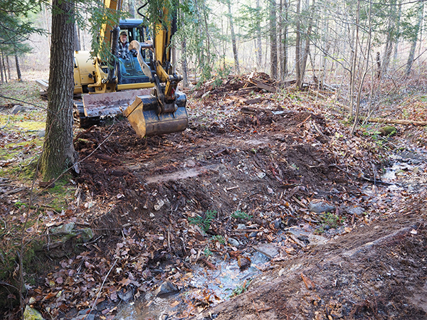 3 preparing abutments