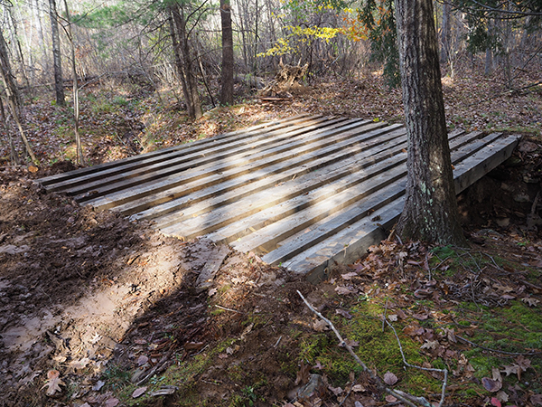 3 preparing abutments
