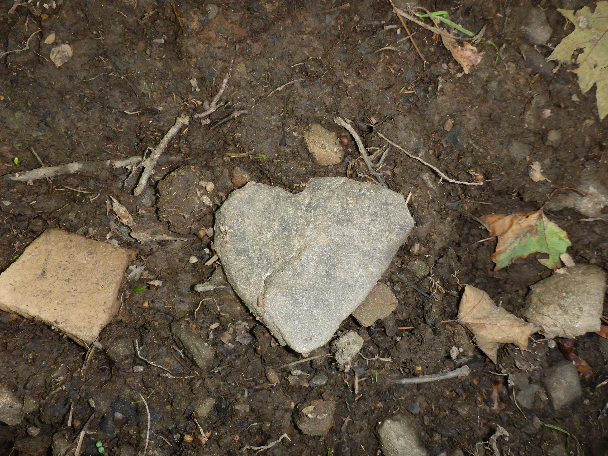 Heart shaped stone