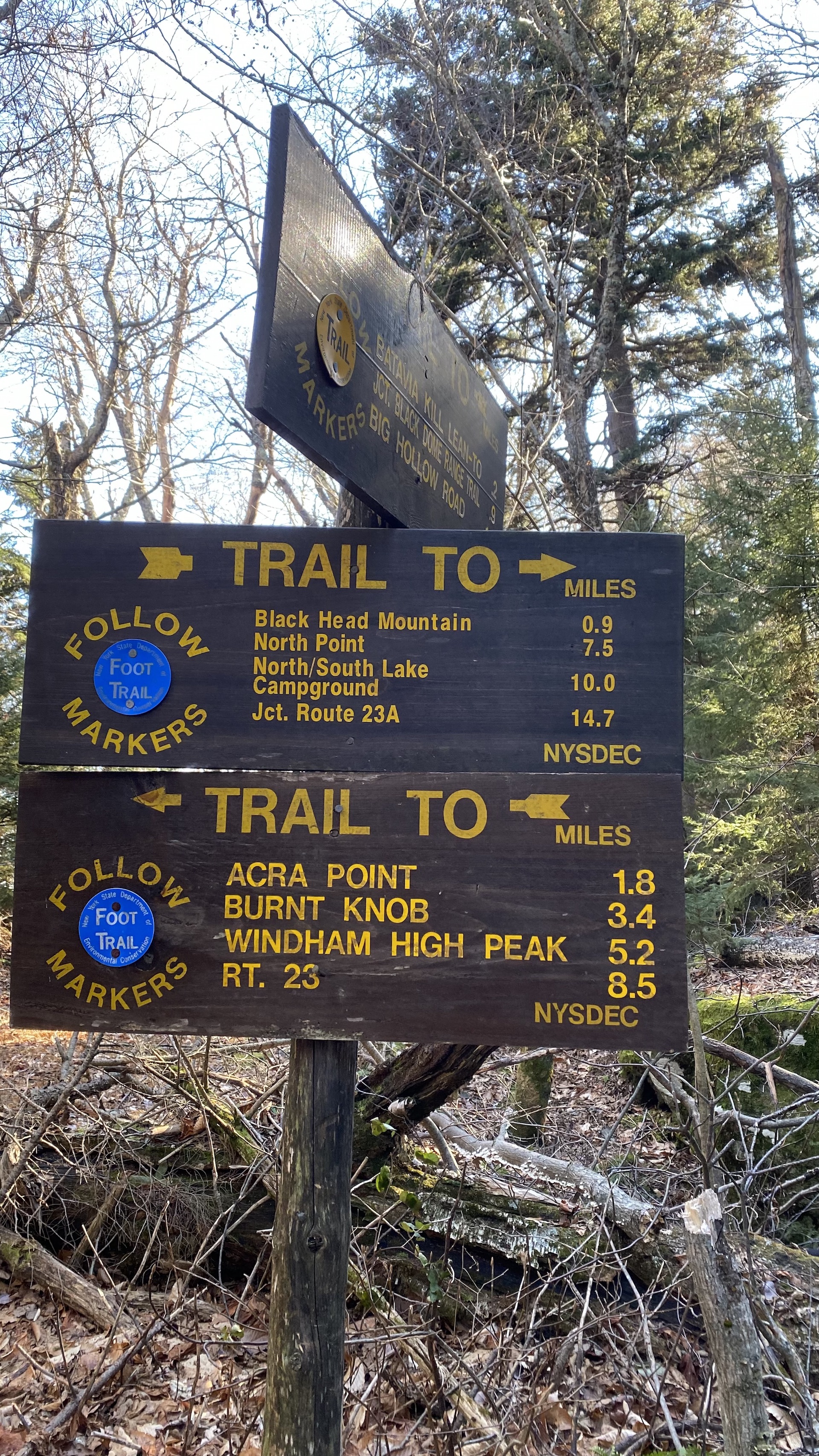 hiking black dome blackhead catskills amy heather hike start