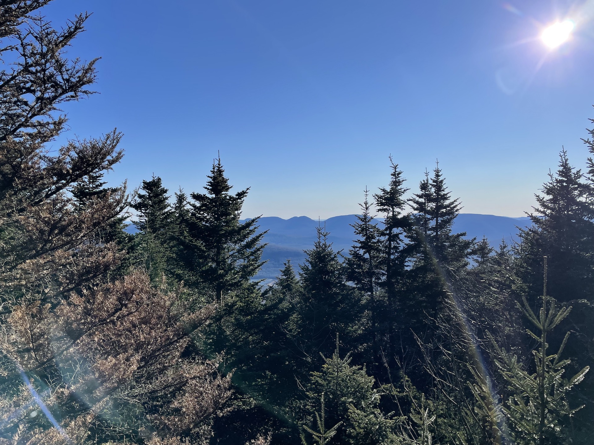 hiking black dome blackhead catskills summit view