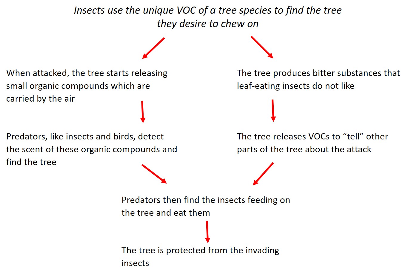 3 tree response to insect attack