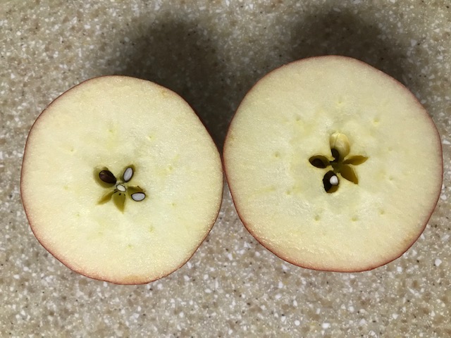 1 Five pointed star in the cross section of an apple