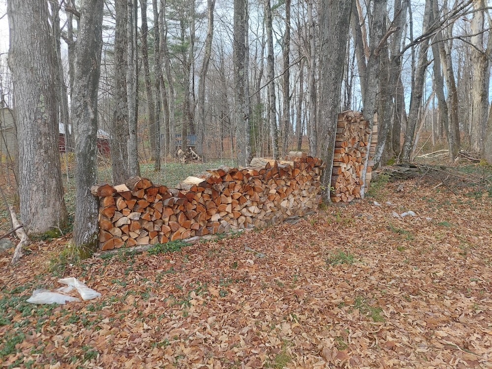 Firewood stacked in between trees.