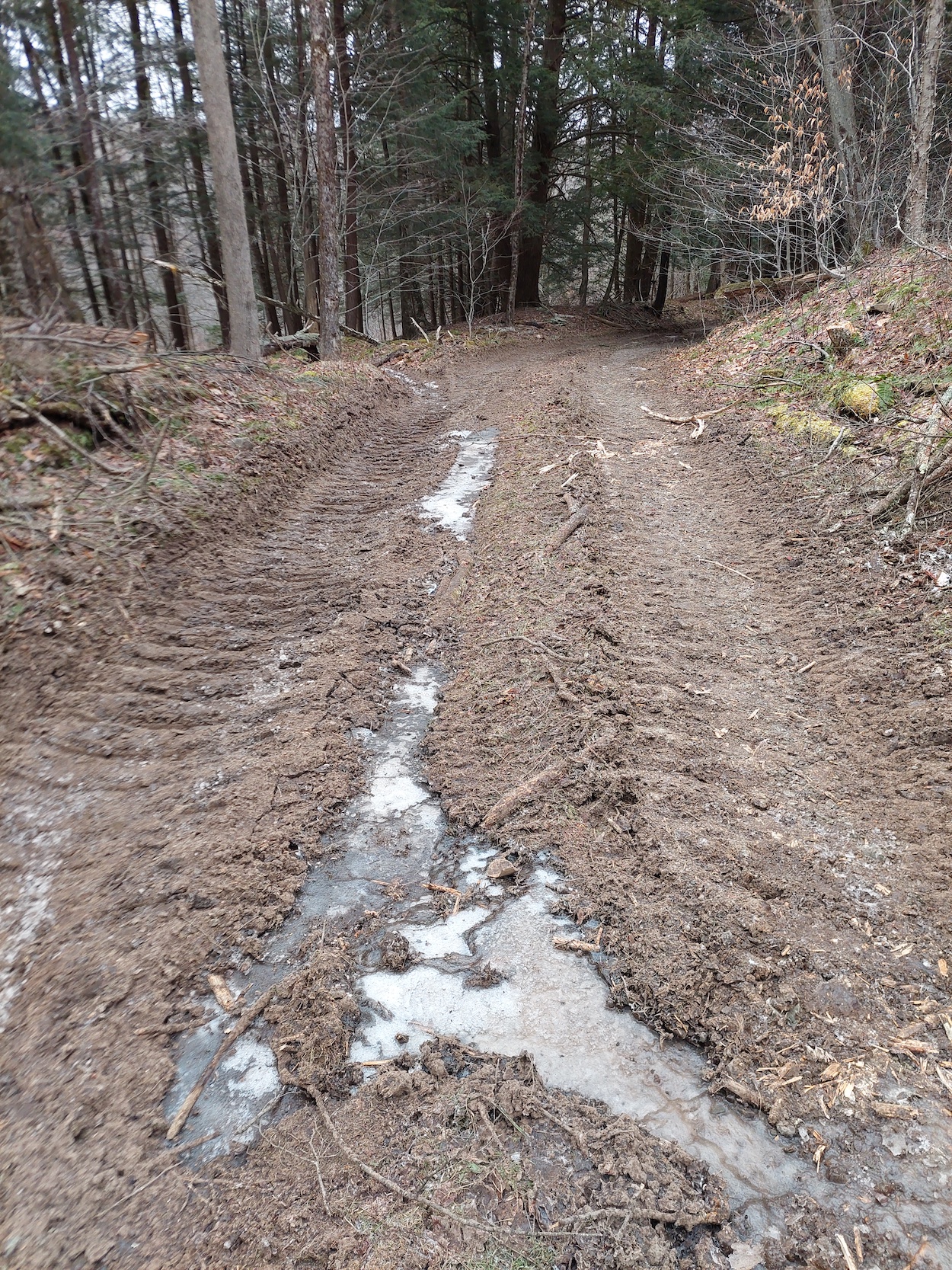 1 Geotextile separates large stone layer from subgrade