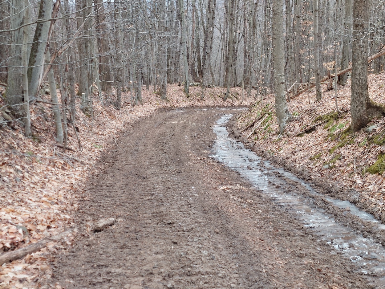 1 Geotextile separates large stone layer from subgrade