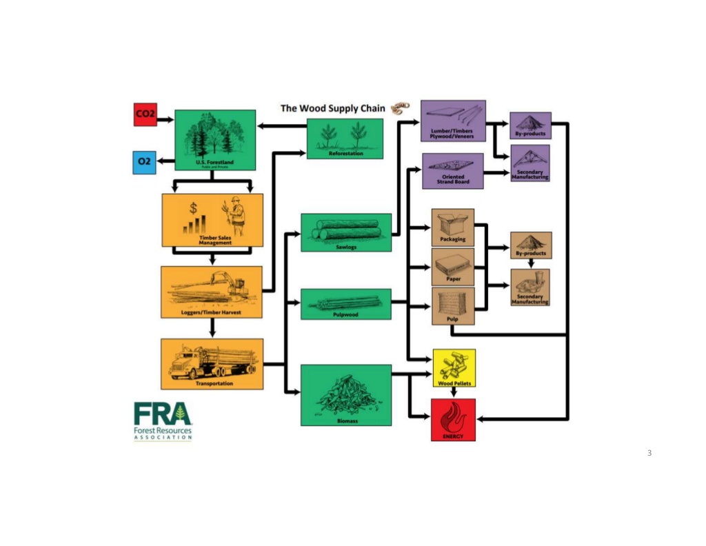 1 The steps in getting a tree from the woods to its end product