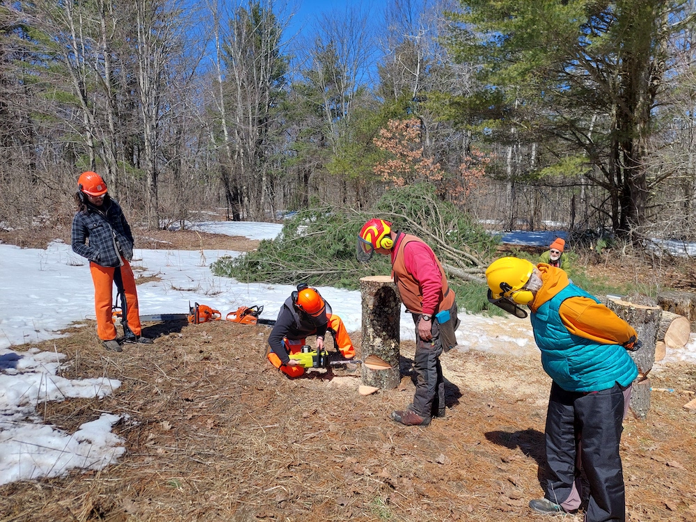 8 Practice felling notch and bore cut