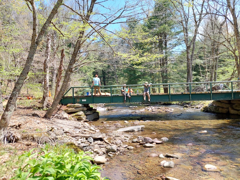 5 Almost halfway done