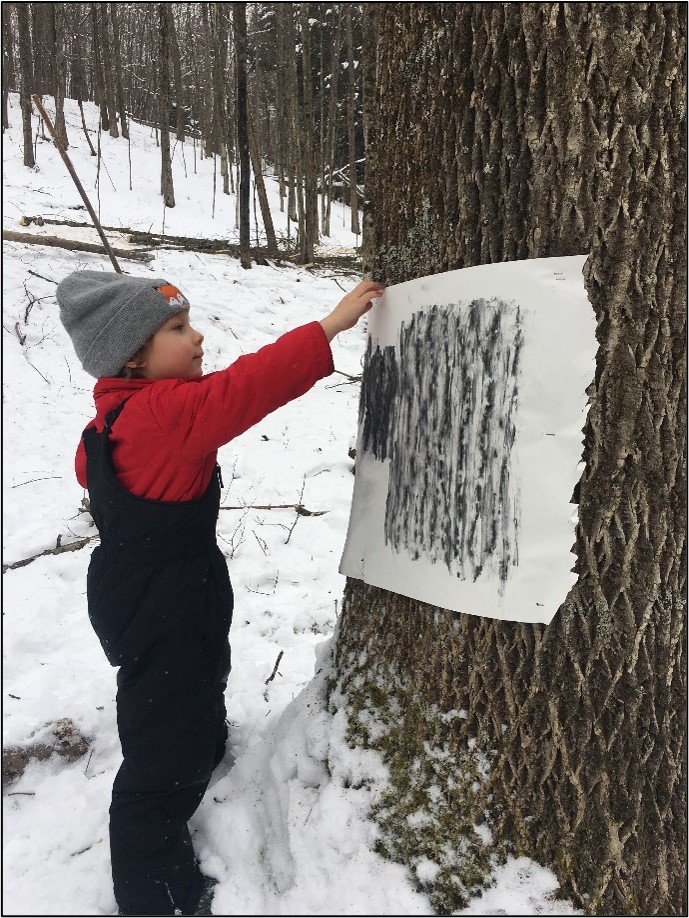 Creating a charcoal rub on the bark of a large ash tree.