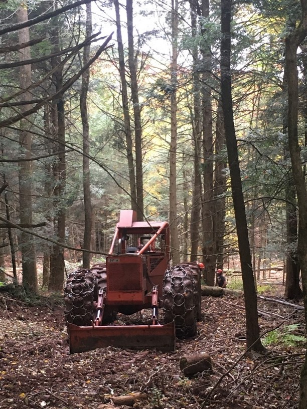 Timberjack skidder in a hemlock stand Timberjack skidder in a dark hemlock stand.