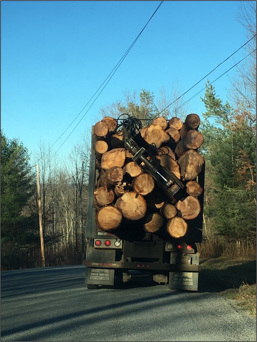 hauling hemlock logs to the mill A loaded log truck hauls hemlock logs to the mill.