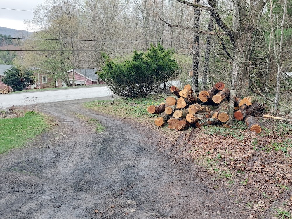 Log-length firewood load A two-cord load of log-length firewood placed beside a soggy driveway on a grey Catskill Mountain day.