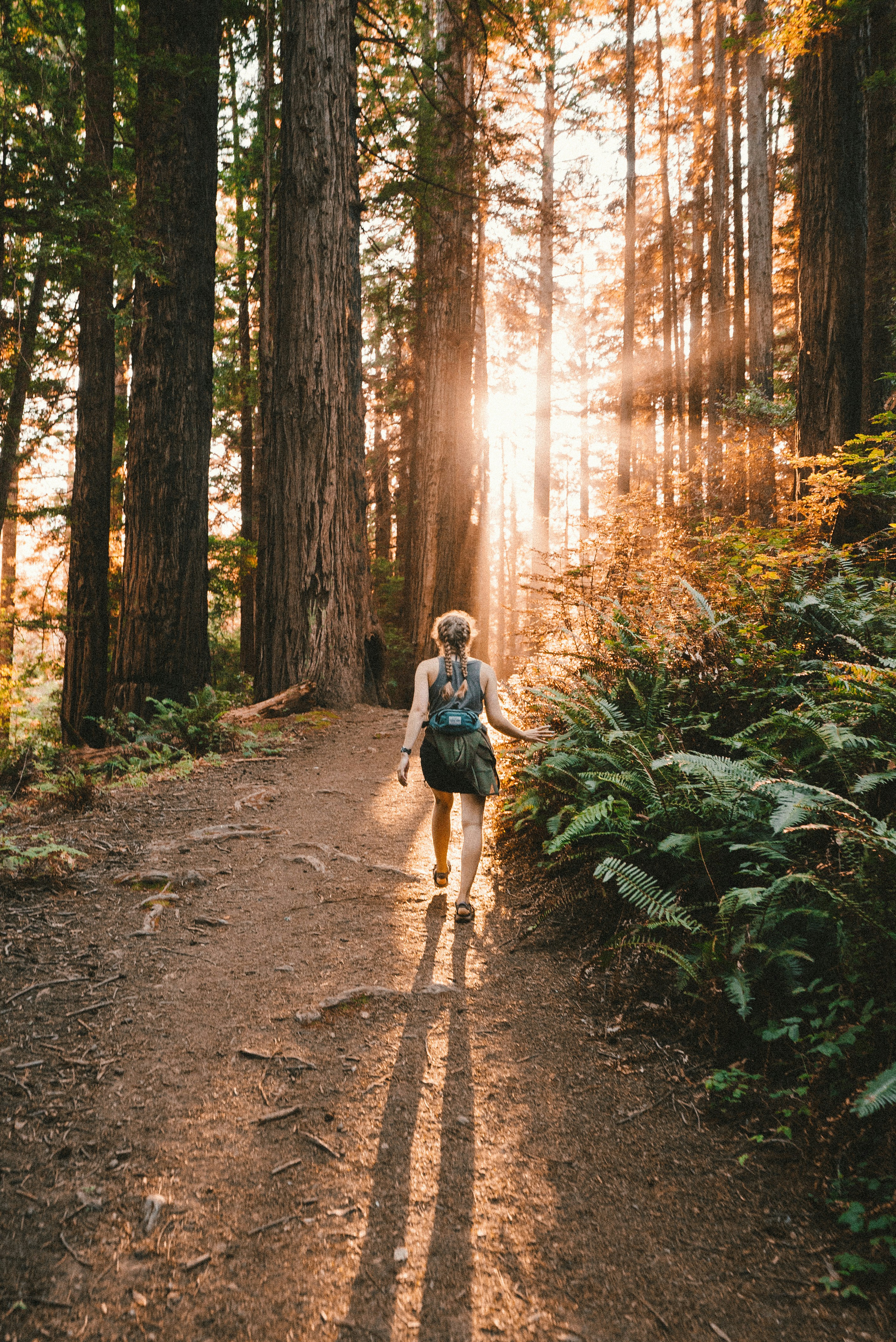 Woman hiking on a wooded trail.