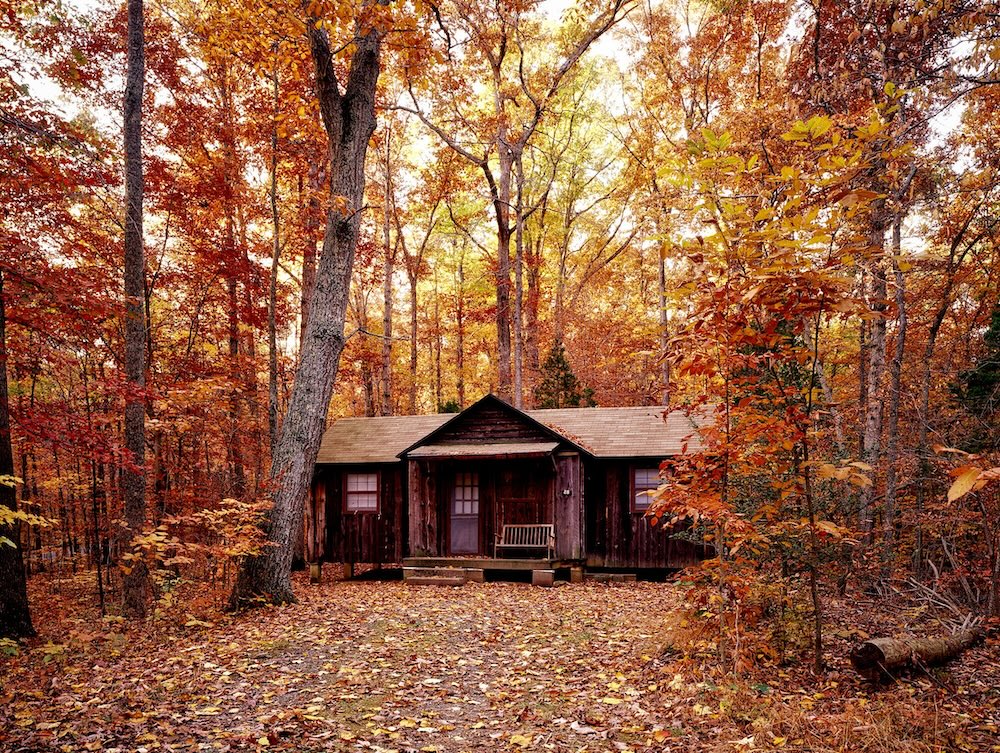 Cabin in woods in the fall.