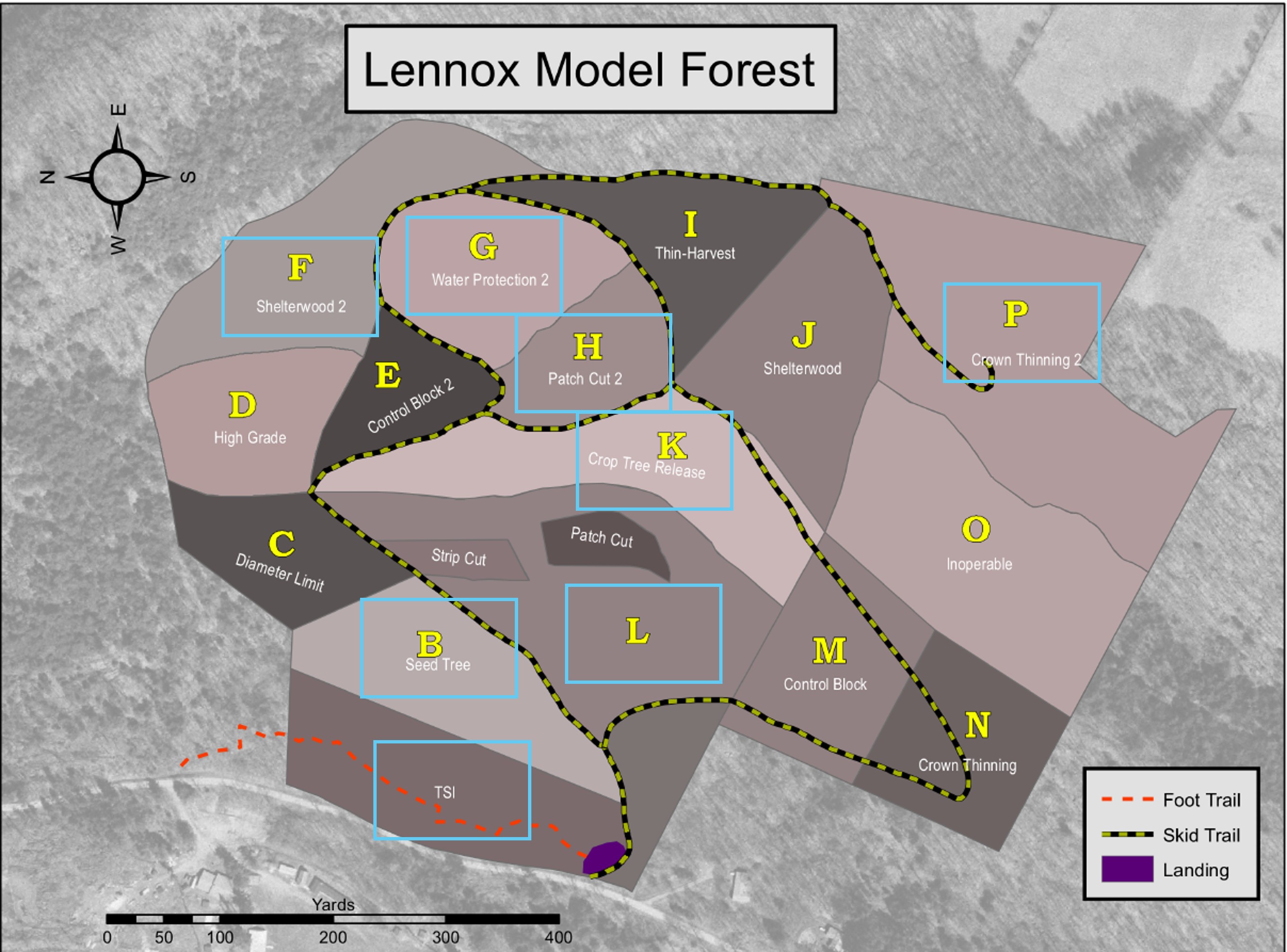Lennox harvest areas. A map of Lennox Model Forest showing the areas to be harvested.