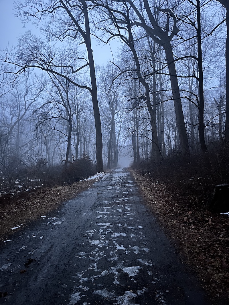 Foggy trail. A foggy trail through the forest at Rockefeller State Park.