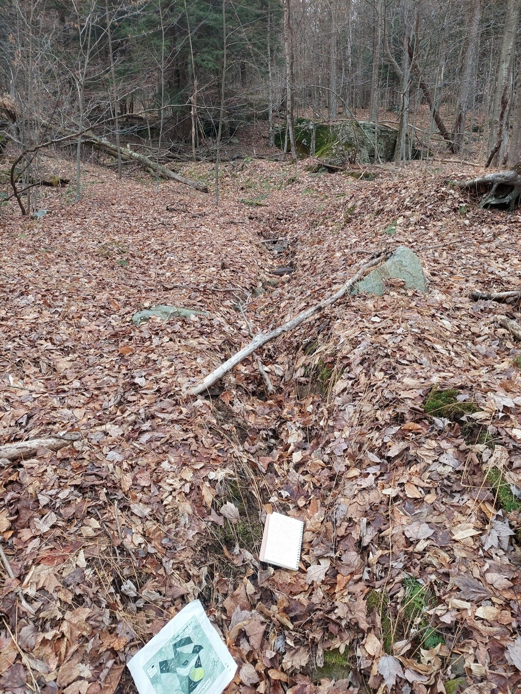 Ephemeral stream channel. A leaf-covered ephemeral stream channel at Lennox Model Forest. Photo taken in early spring.