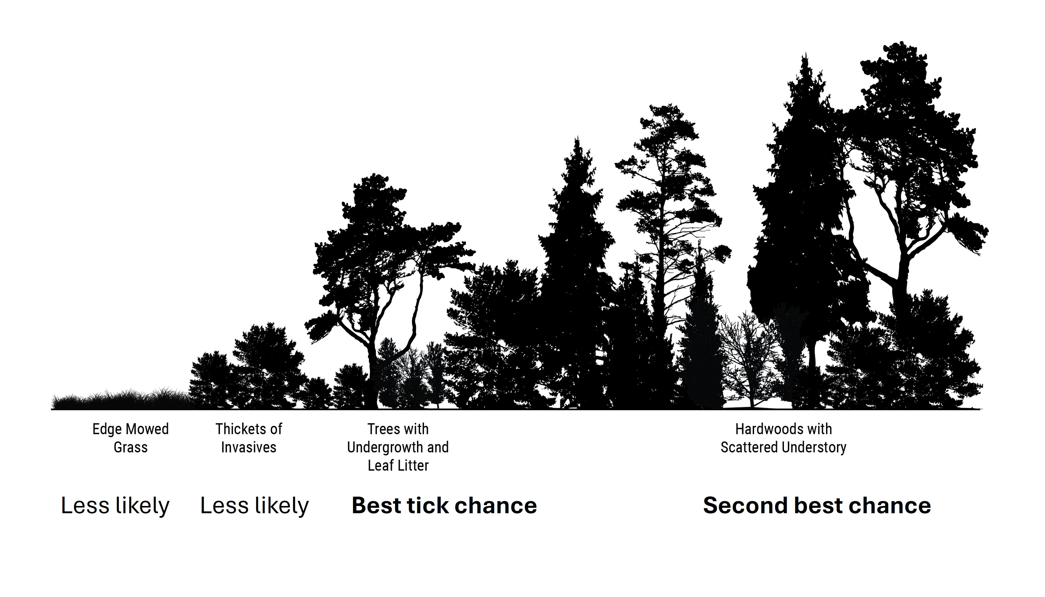 A habitat gradient going from lawn to interior woods with the likelihood of finding ticks indicated.
