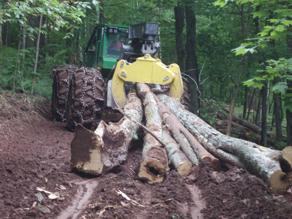 Grapple skidder pulling out logs. A grapple skidder pulling out a hitch of logs in the summertime.