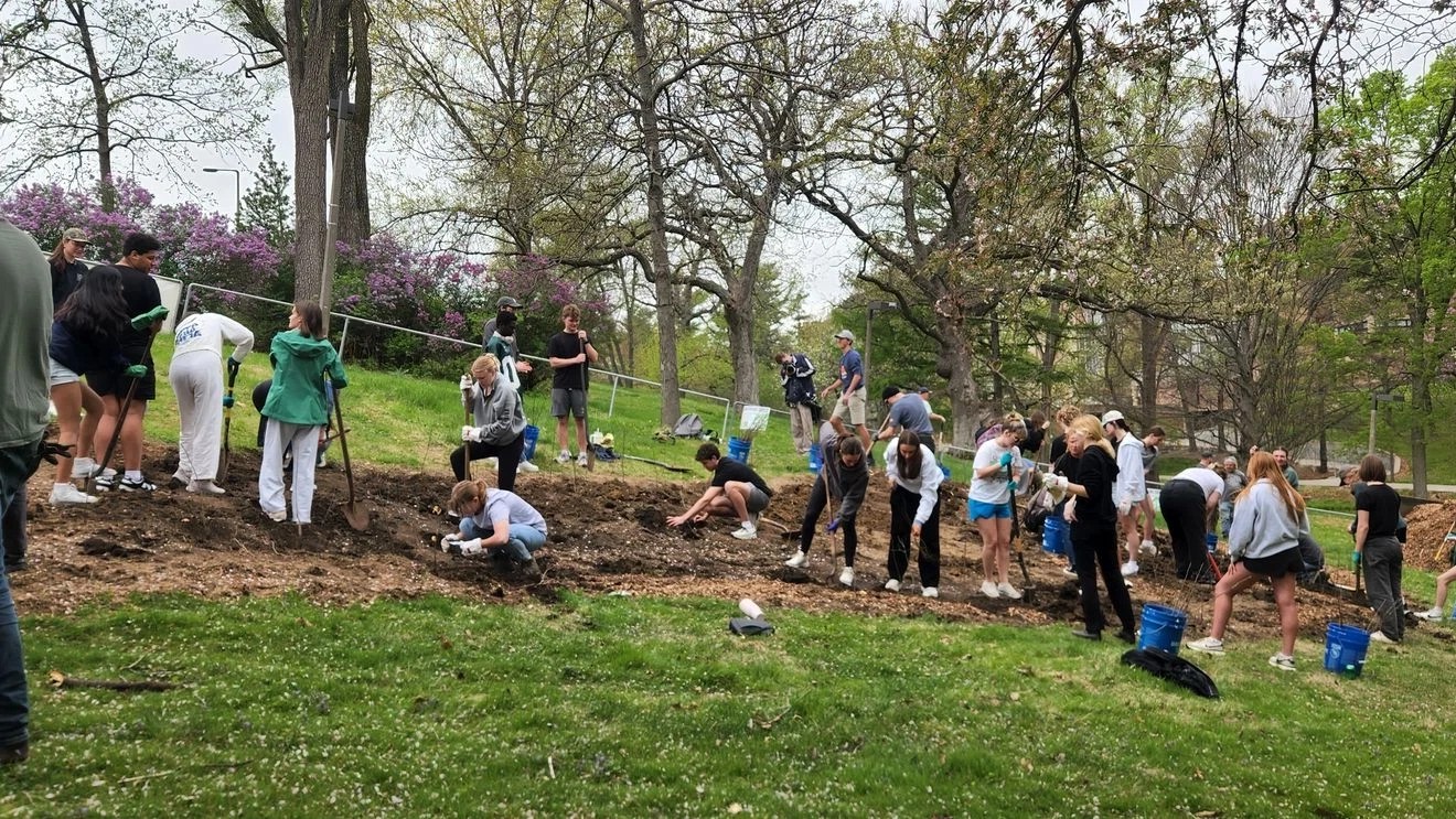 College students plant a mini woods on campus in the springtime.