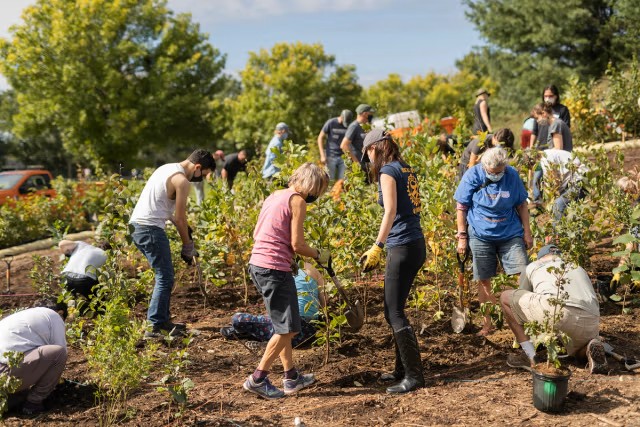 Volunteers planting trees at the site