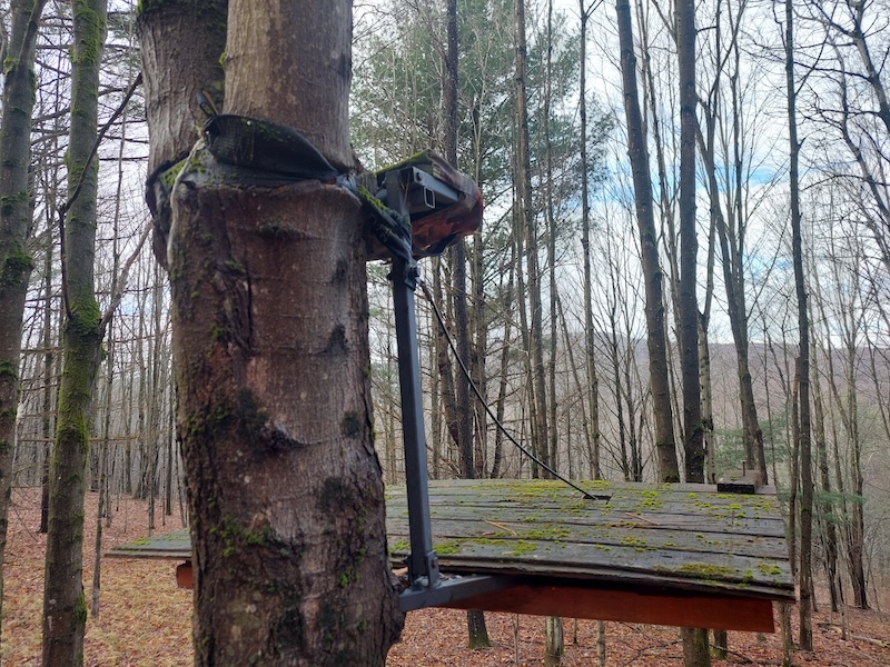 A hang-on platform treestand with a camouflage foam seat cover and modified wood deck attached to the base. The stand is set low in a red maple. It has been there awhile as evidenced by the straps cutting into the tree.