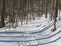 Women Take to the Trails