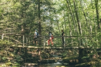 Past Present & Future of Our Forests and What We Can Do For Them