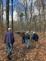 Woodland Ecology Walk with a Forester