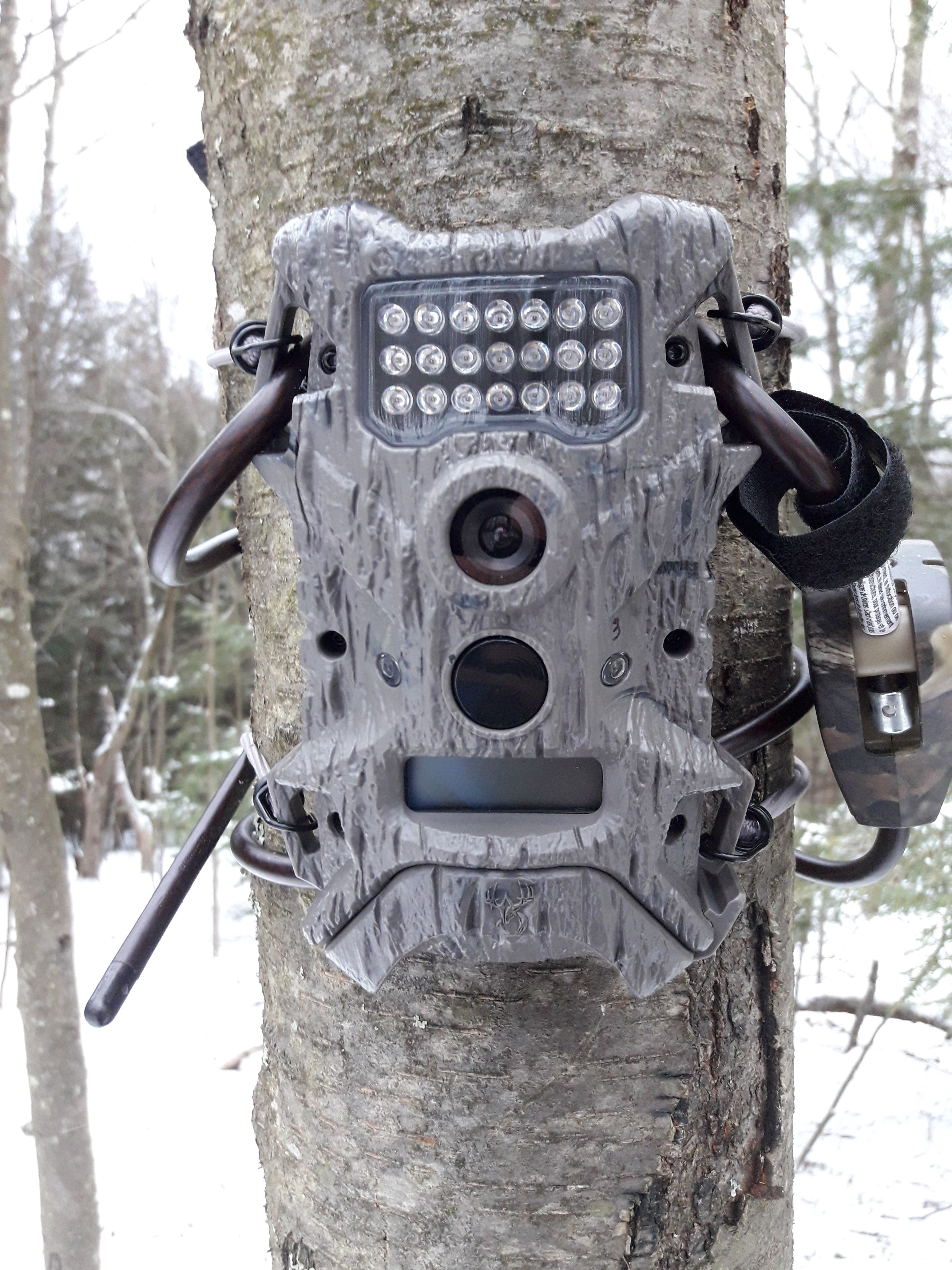 Install a Trail Camera